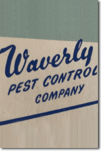 Waverly Logo