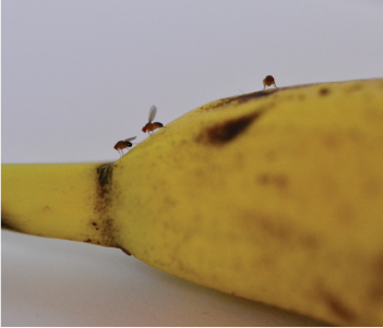 home banner first carousel image