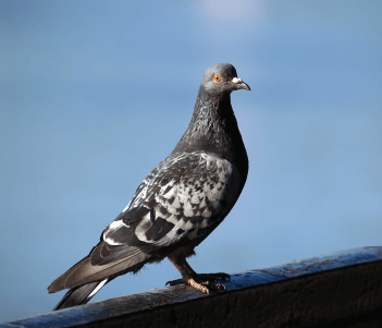 home banner first carousel image