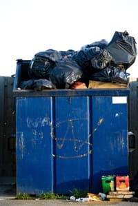 Blow flies will follow a path to rotting garbage