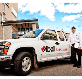 When to choose a home protection plan or single pest control