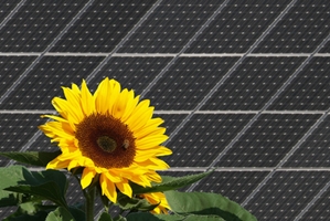 Why certain pests may be beneficial to you