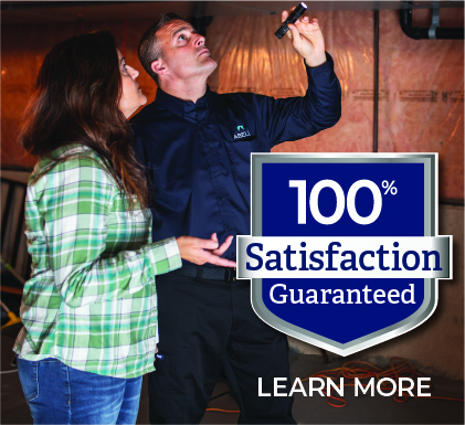 Pest Control Services In Flint Michiagn