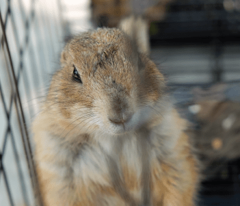 home banner first carousel image