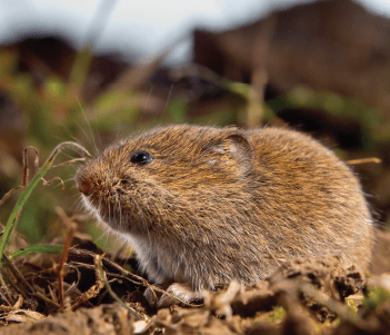 home banner first carousel image