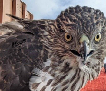 home banner first carousel image